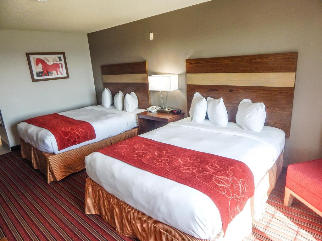 Country Inn & Suites By Radisson, Dfw Airport South, Tx アーヴィング エクステリア 写真