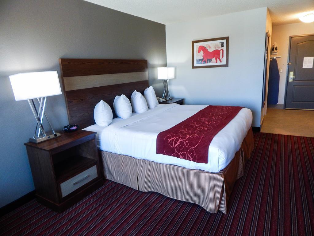 Country Inn & Suites By Radisson, Dfw Airport South, Tx アーヴィング エクステリア 写真